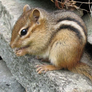 Meet your Posher, Erin lea